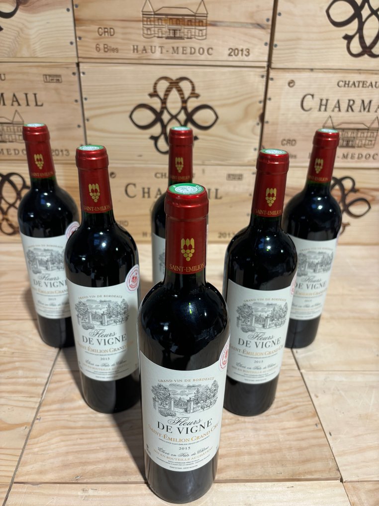2015 Château La Fleur de Vigne - Saint-Émilion Grand Cru - 6 Bottles (0.75L) #3.2