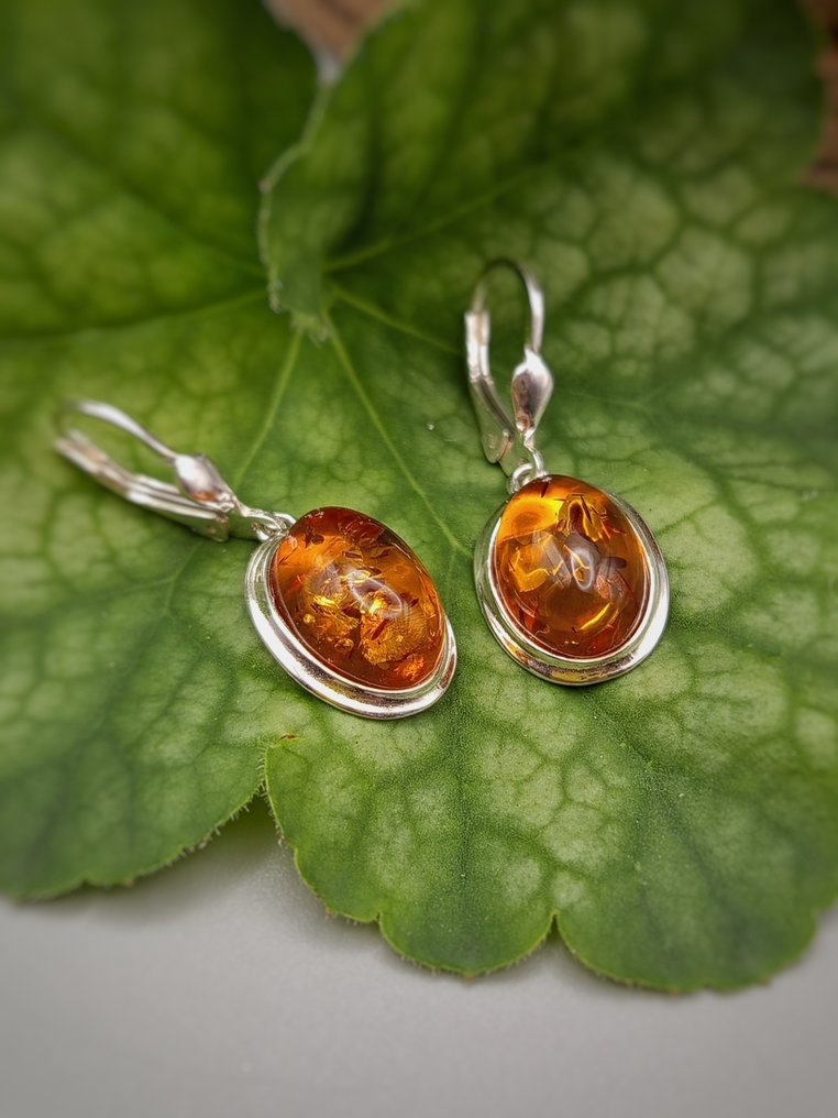 Μοναδικό κομμάτι, ζευγάρι σκουλαρίκια από ασήμι 925 με Βαλτική Ίασμο κορυφαίας ποιότητας. - Ύψος: 15 mm - Πλάτος: 12 mm- 5.2 g - (1) #2.1