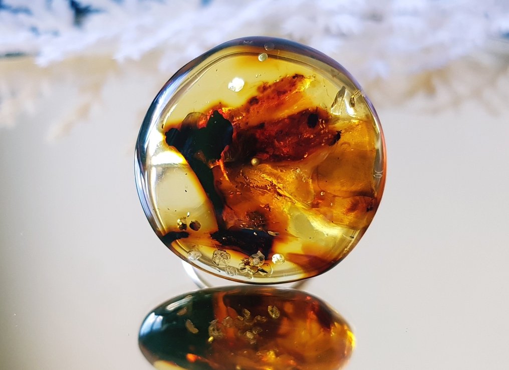 稀有天然波罗的海琥珀戒指，内含化石昆虫，博物馆级别的美丽收藏品 - 琥珀 #1.0