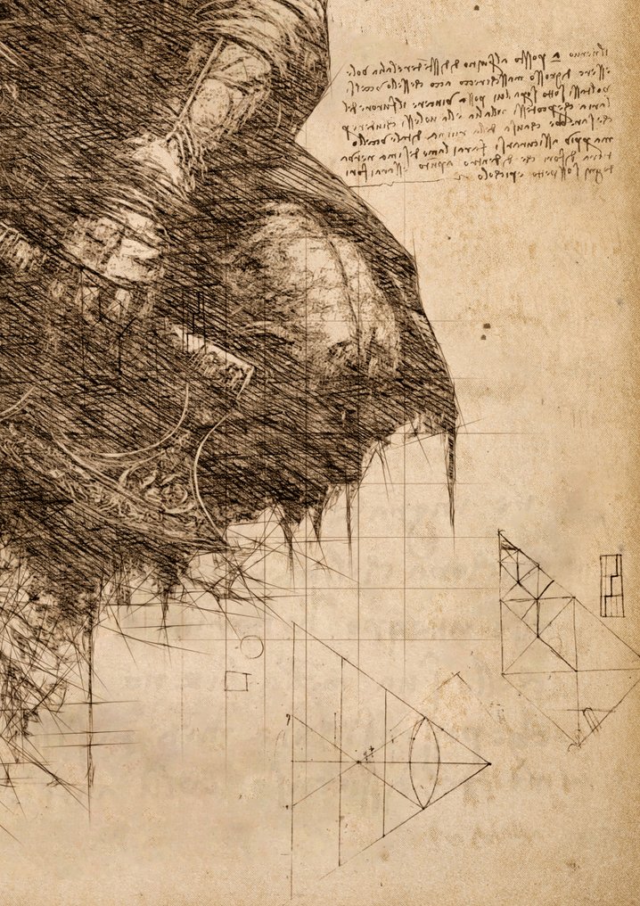 Boriani - Assassin Creed , DaVinci edition 3/25 #4.3