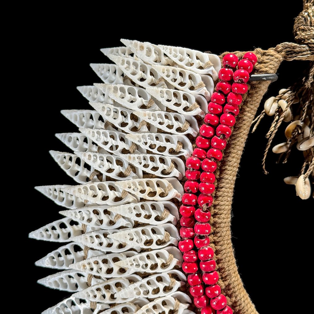 Διακοσμητικό στολίδι - NO RESERVE PRICE - SN7 - Decorative shell necklace on a custom stand - Παπούα Νέα Γουινέα #4.3