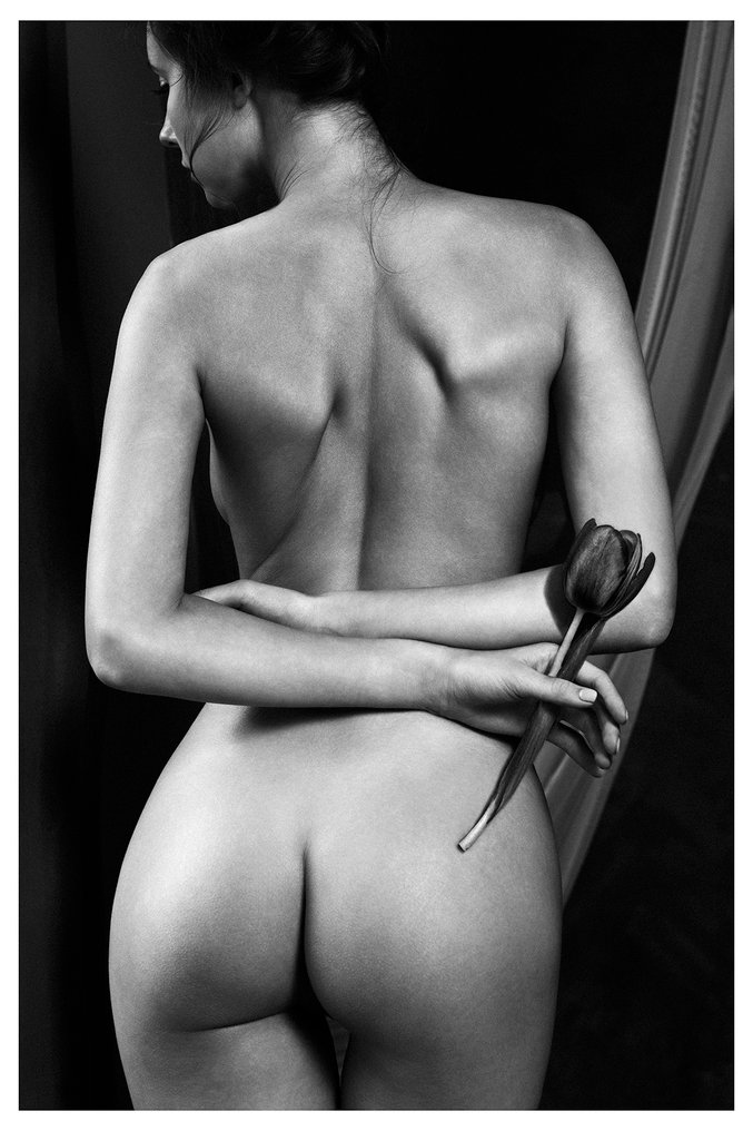 Lida Khaykara - The Black Tulip #1.0