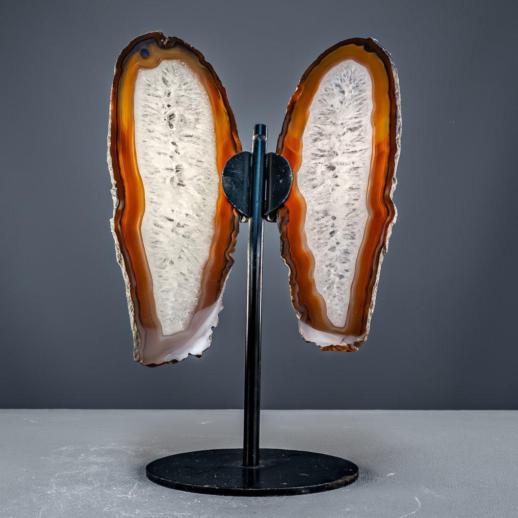 Achat butterfly – natural elegance in wings made of stone. Masterpiece of Nature- 955.64 g #3.2