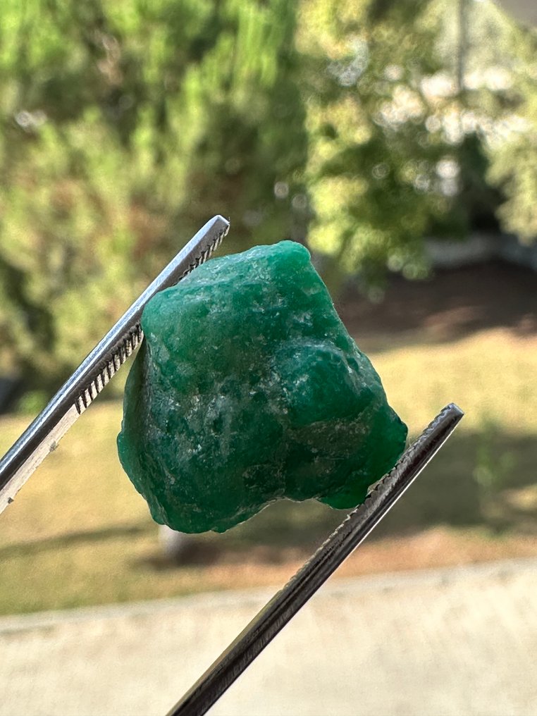 Σμαράγδι Ανώτερο. 15,65 καρατίων. Πράσινος σμαραγδένιος κρύσταλλος κορυφαίας ποιότητας. 100% μοναδικό - Ύψος: 15 mm - Πλάτος: 14 mm- 3.13 g #4.3