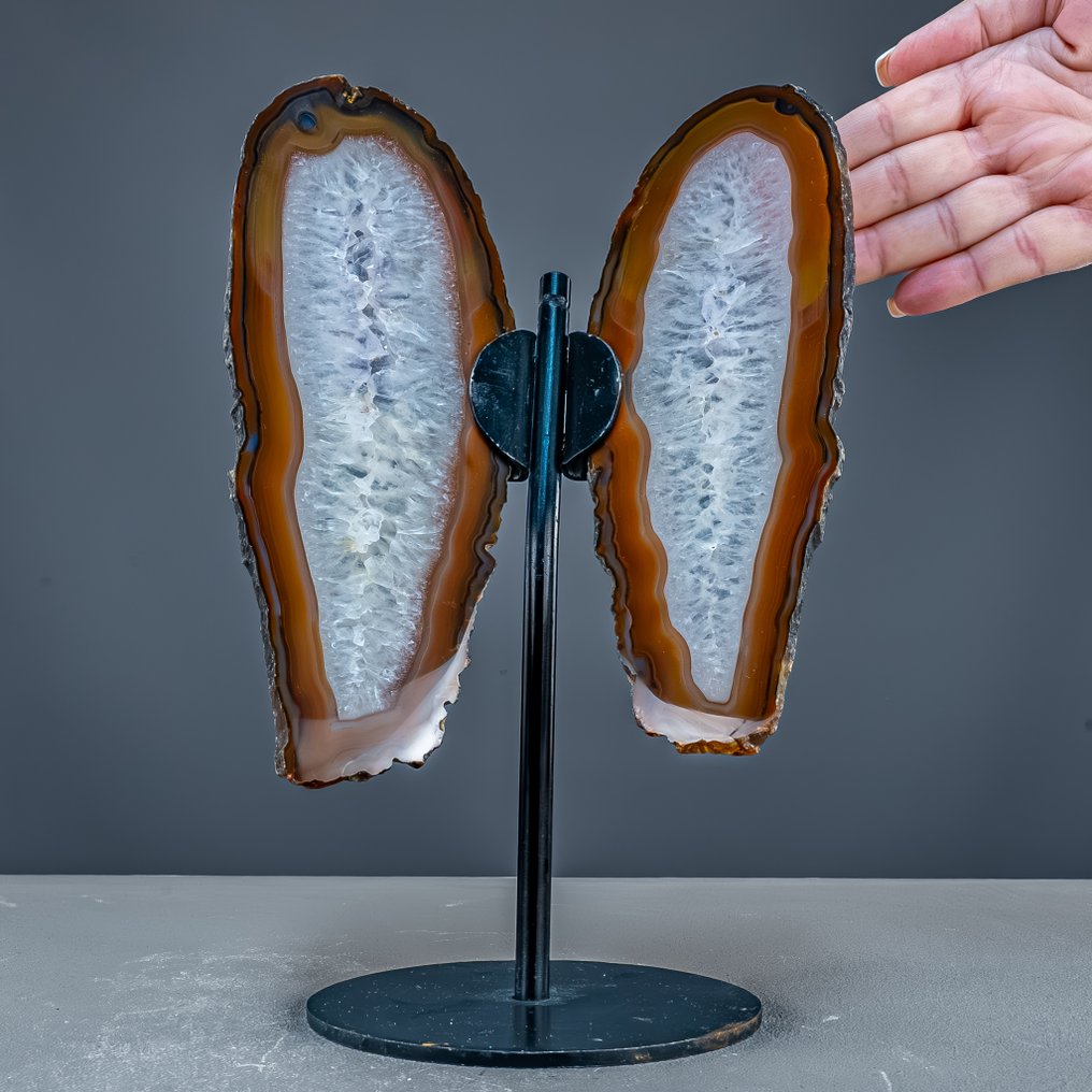 Achat butterfly – natural elegance in wings made of stone. Masterpiece of Nature- 955.64 g #1.0