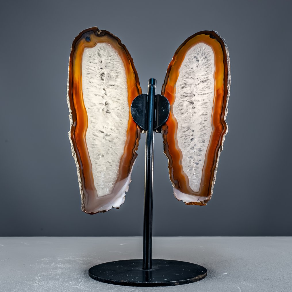 Achat butterfly – natural elegance in wings made of stone. Masterpiece of Nature- 955.64 g #4.3