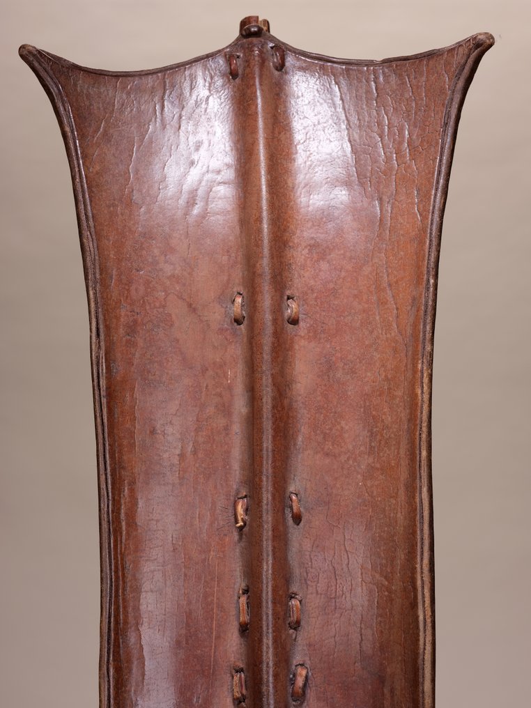 Toposa Shield — South Sudan — Hide on wood — H 87 cm — Early 20th c. — Ex Zirngibl - Sudan #3.2