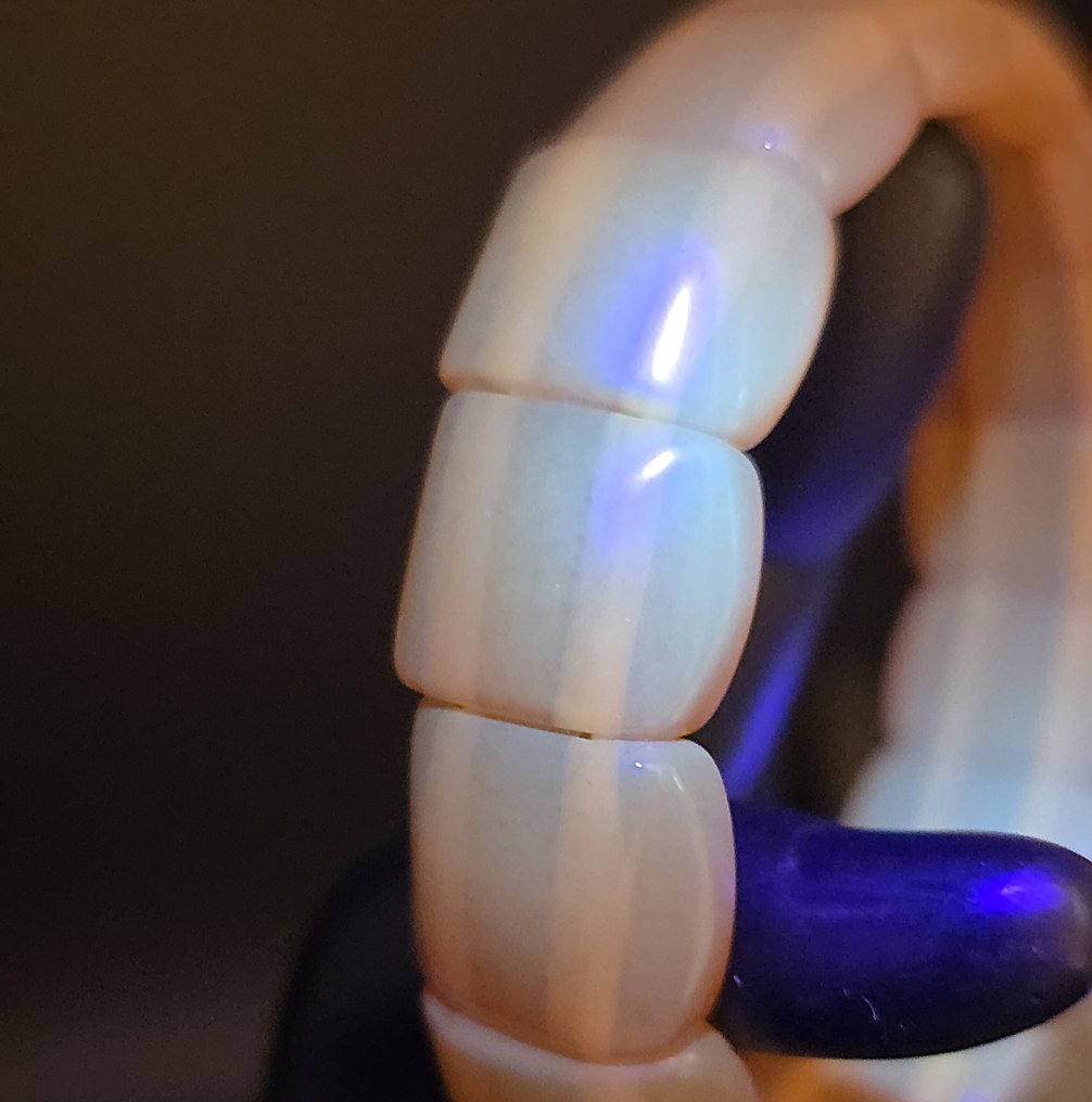 Βραχιόλι από φυσικό Βαλτικό κεχριμπάρι – Ζεστές μέλισσες-πορτοκαλί τμημάτων – Λεία γυαλιστερή λάμψη. - Κεχριμπάρι (χωρίς τιμή ασφαλείας) #3.2