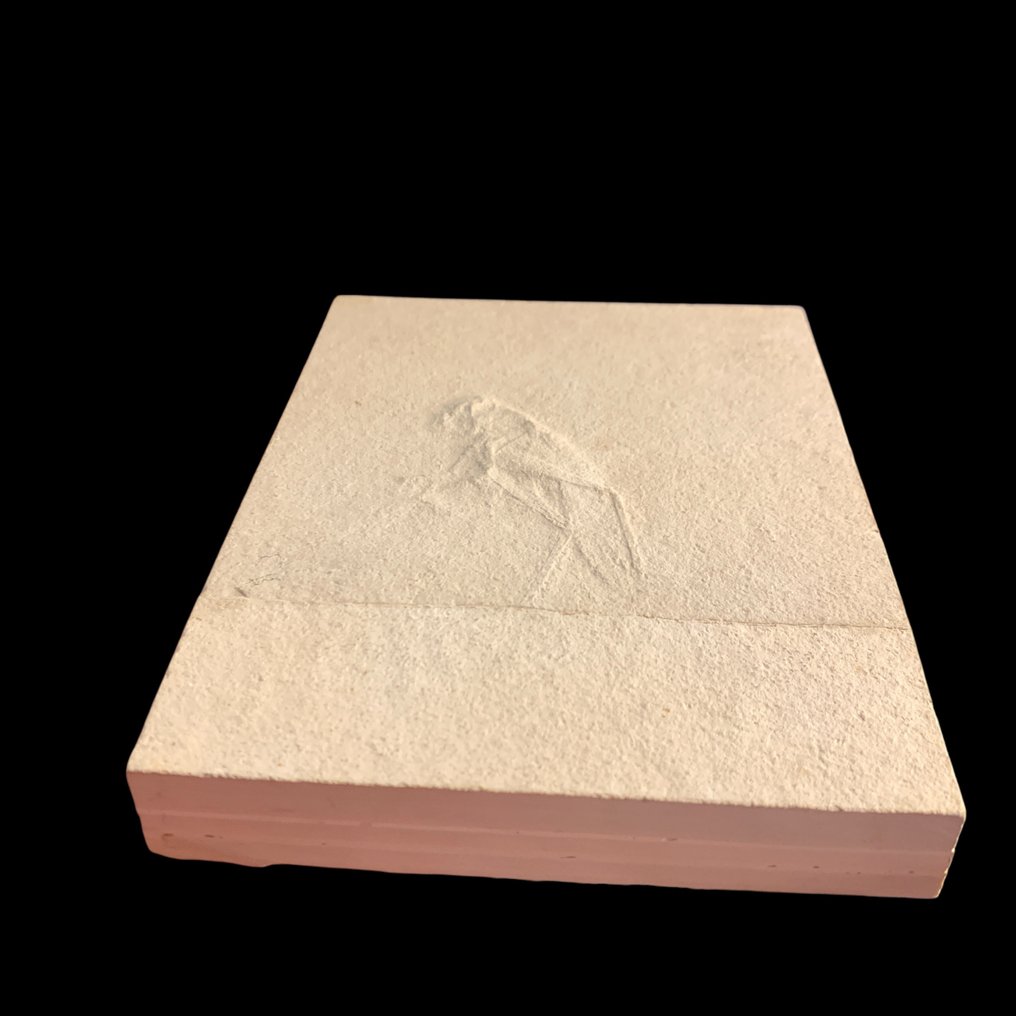 Fossiilinen levymatriisi - Pycnophlebia sp - 15 cm - 12 cm #3.2