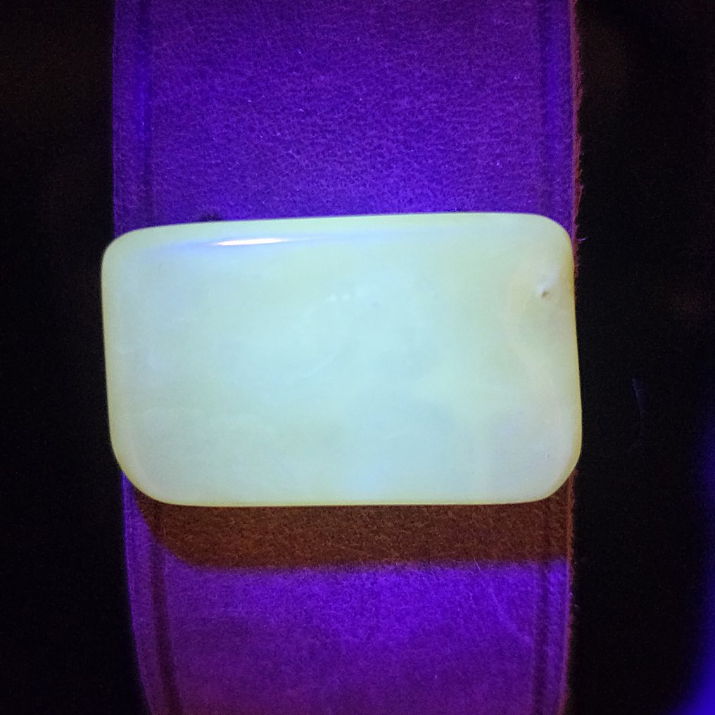 宽皮革手环配BALTIC AMBER——焦糖化石石——中性珠宝 - 琥珀 (沒有保留價) #3.2