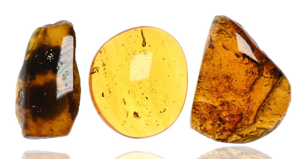 Κεχριμπάρι Βιρμανίας - Απολιθωμένο cabochon - Group of 3 pieces, with nice quality fossil insect inclusions, larger size  (χωρίς τιμή ασφαλείας) #4.3