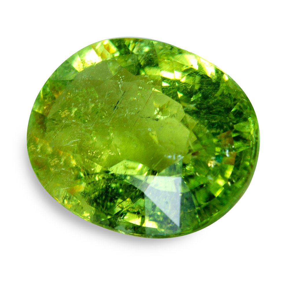 帕拉伊巴碧璽  - 13.05 ct - Asian Institute of Gemological Sciences (AIGS) - 霓虹绿 #2.1