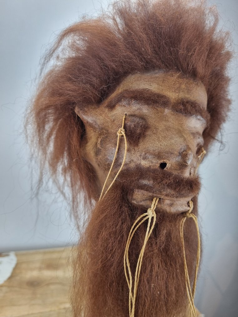 Τζάντζα Σχισμένο Κεφάλι Βάση ρεπλίκας ταρίχευσης - Shrunkenhead - 33 cm - 14 cm - 18 cm - 1 #2.1