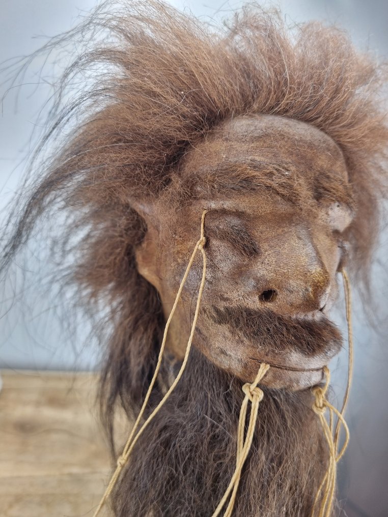 Τζάντζα Σχισμένο Κεφάλι Βάση ρεπλίκας ταρίχευσης - Shrunkenhead - 33 cm - 16 cm - 18 cm - 1 #1.0