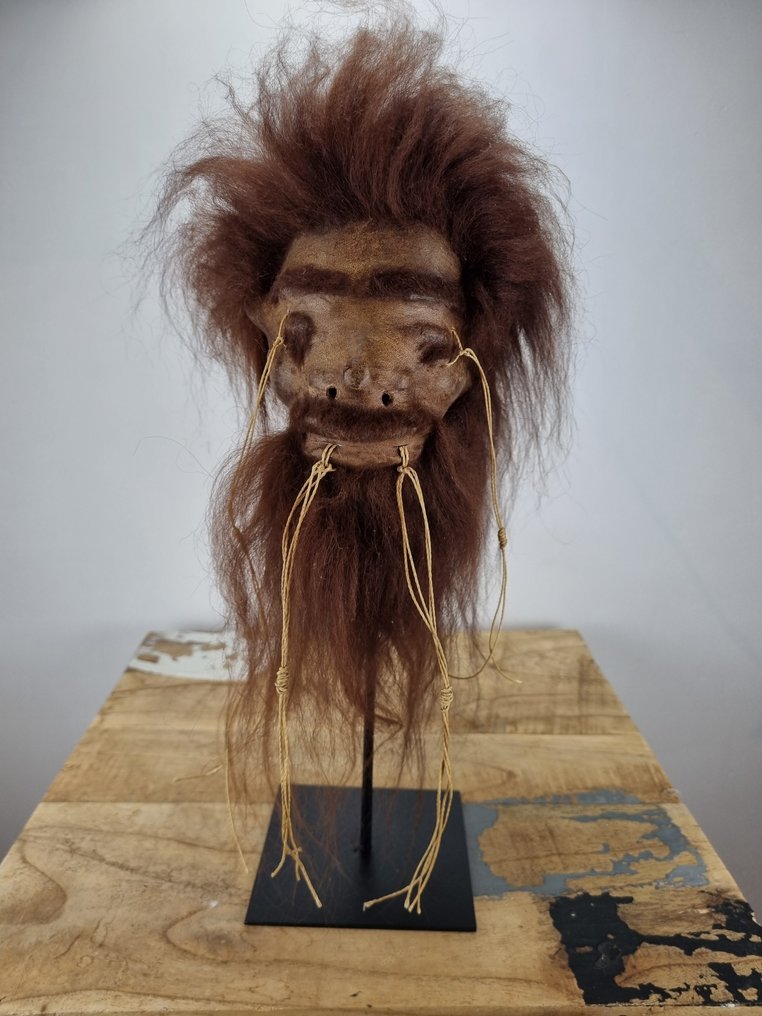 Τζάντζα Σχισμένο Κεφάλι Βάση ρεπλίκας ταρίχευσης - Shrunkenhead - 33 cm - 14 cm - 18 cm - 1 #4.3