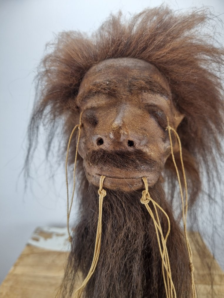 Τζάντζα Σχισμένο Κεφάλι Βάση ρεπλίκας ταρίχευσης - Shrunkenhead - 33 cm - 16 cm - 18 cm - 1 #3.2