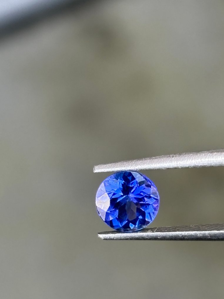 2 pcs  藍色, 紫色 坦桑石, 電氣石  - 1.63 ct - Antwerp Laboratory for Gemstone Testing (ALGT) #4.3
