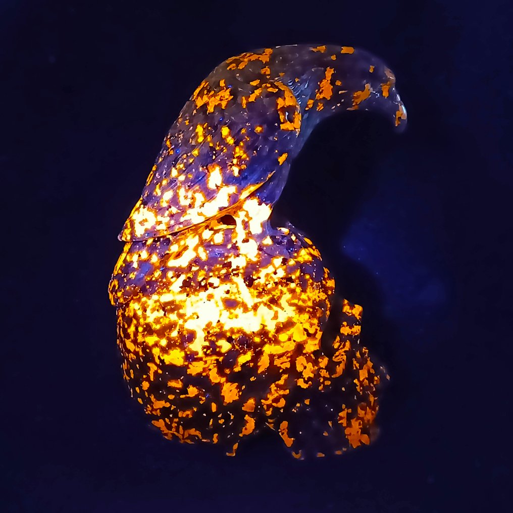 Crow sculpture on skull, hand-carved from Yoperlita crystal (a variety of Sodalite). Superrealist Series (AAA+++) - Height: 170 mm - Width: 120 mm- 1812 g #4.3