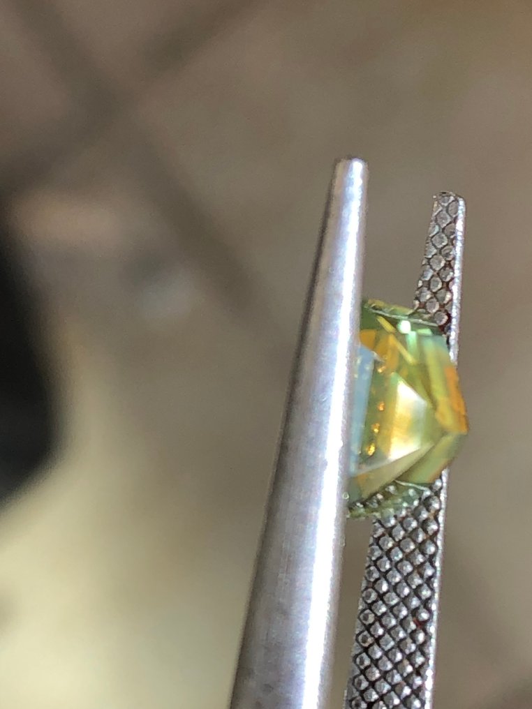 1 pcs  Green, Red Alexandrite  - 2.69 ct - International Gemological Institute (IGI) #3.2