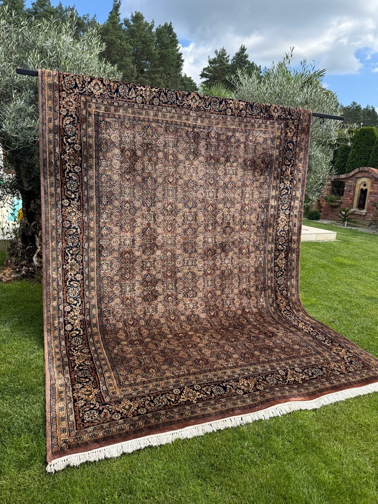 XXL Indo Bidjar - Teppe - 370 cm - 255 cm #3.2