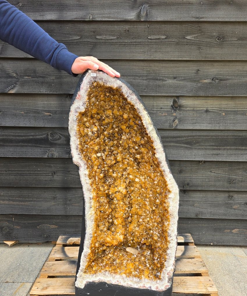 XXL Citrine Geode 100kg citrine - Height: 89 cm - Width: 38 cm- 100 kg #1.0