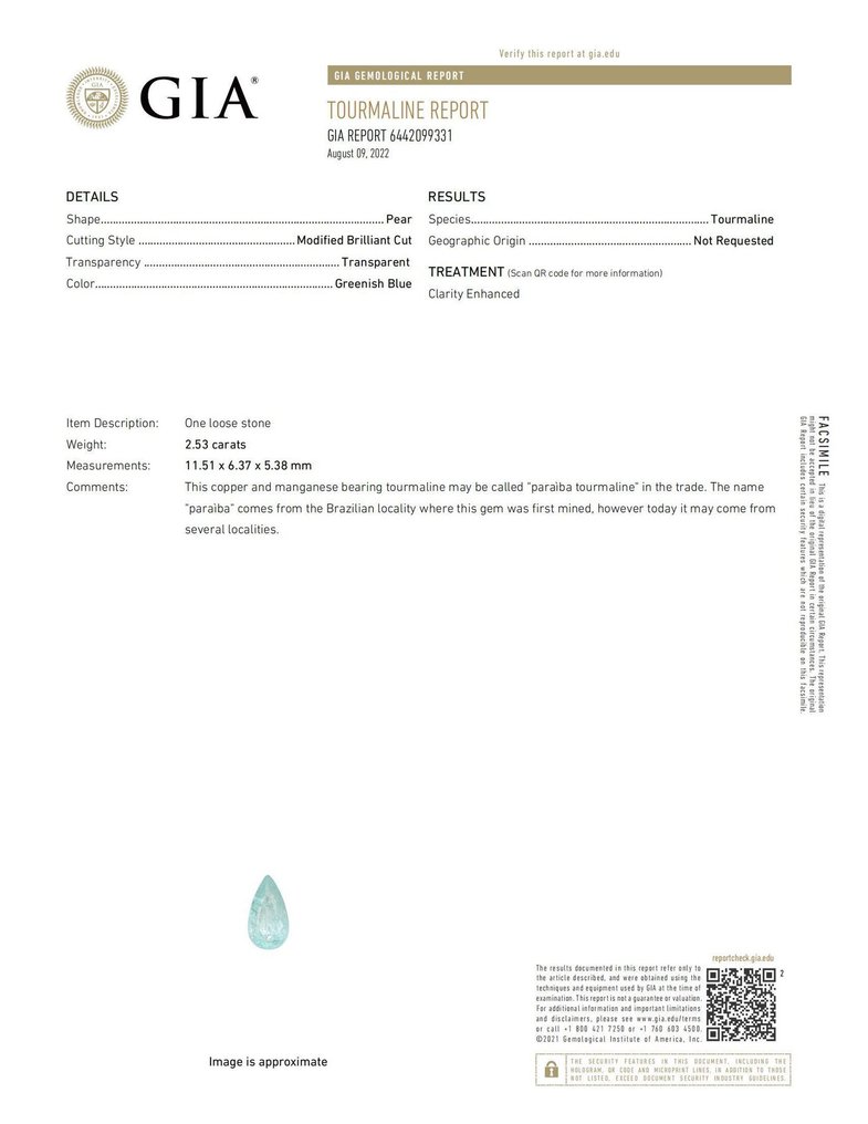 沒有保留價 - 頸鏈 - 18 克拉 白金 帕拉伊巴碧璽 - 鉆石 - Paraiba GIA Diamond #4.3