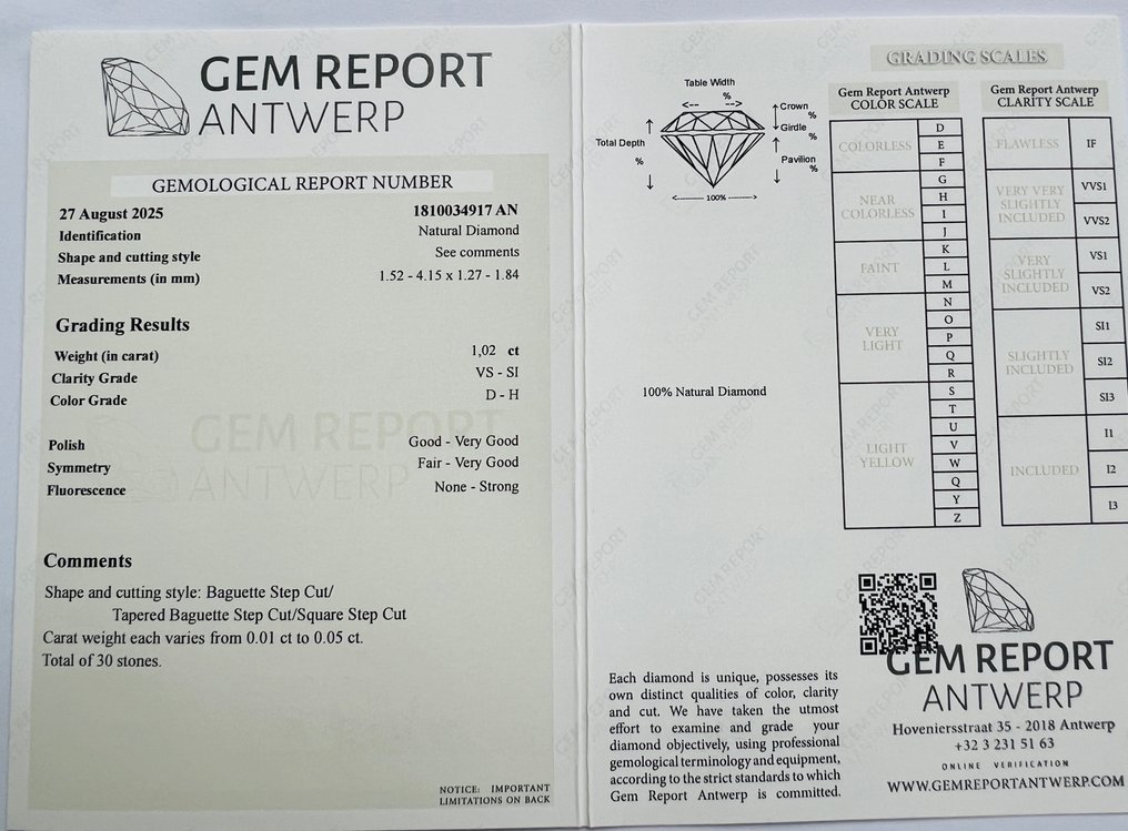 Zonder minimumprijs - 30 pcs Diamant (Natuurlijk) - 1.02 ct - Gemengde slijpvorm - D (kleurloos), H - VS1, SI1 - Gem Report Antwerp (GRA) - Stokbrood #2.1
