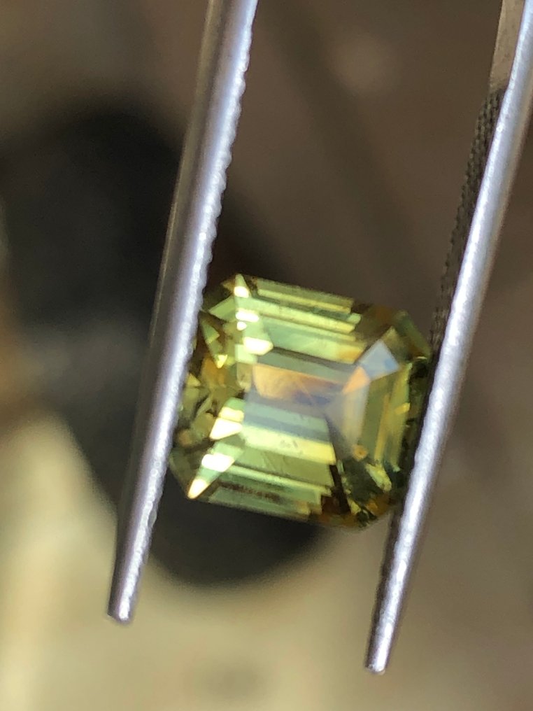 1 pcs  Green, Red Alexandrite  - 2.69 ct - International Gemological Institute (IGI) #2.1