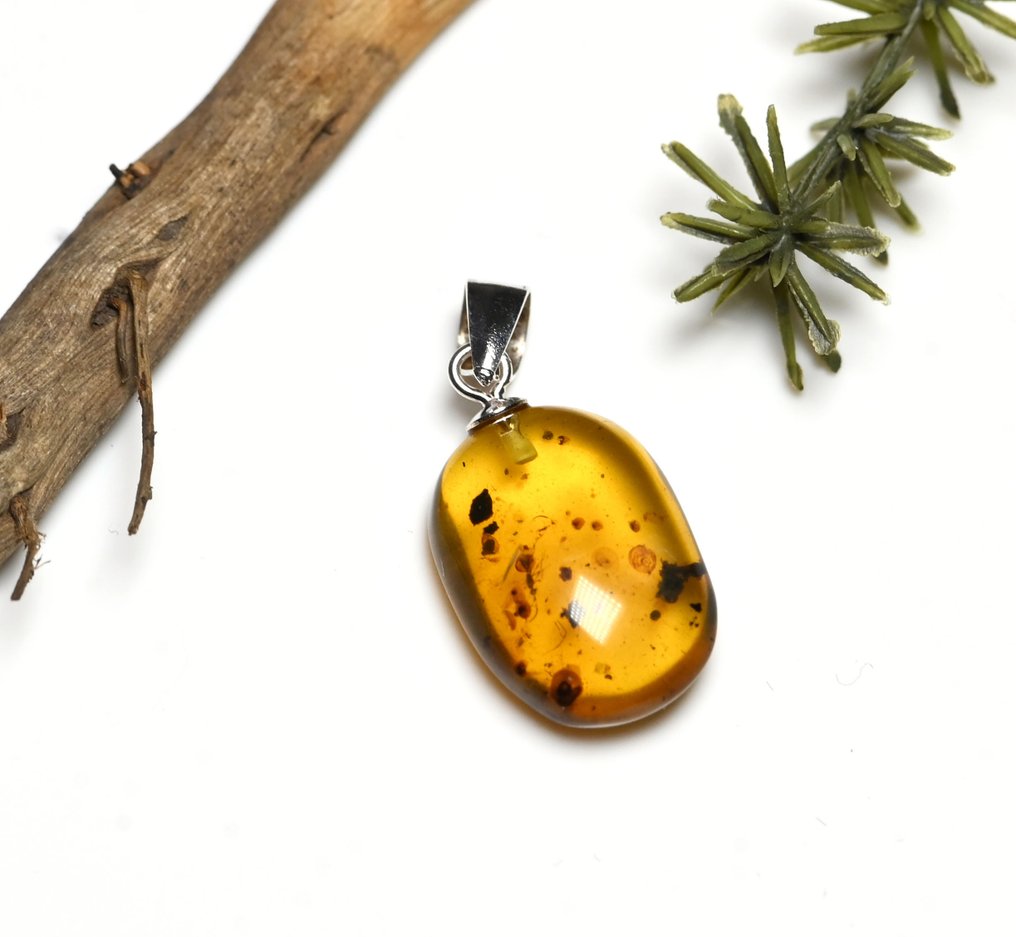 Sterling Silver Burmese Amber Pendant - with Hymenoptera (Wasp) and radial fungi, fossil insect - Fossil cabochon  (No Reserve Price) #1.0