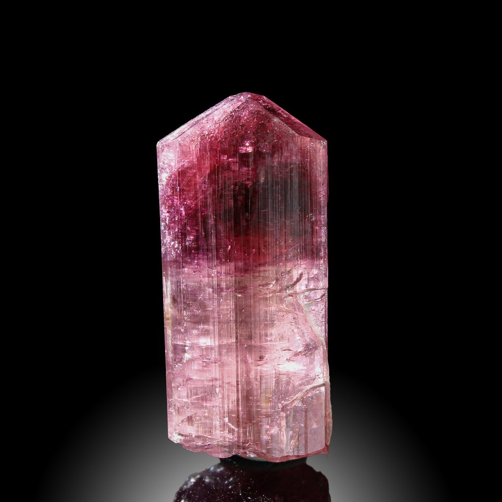 XL Candy Rubellite Tourmaline | Deep Ruby Red | Powerful & Energetic Collector’s Treasure Crystal - Height: 2.5 cm - Width: 1.2 cm- 4.7 g #1.0