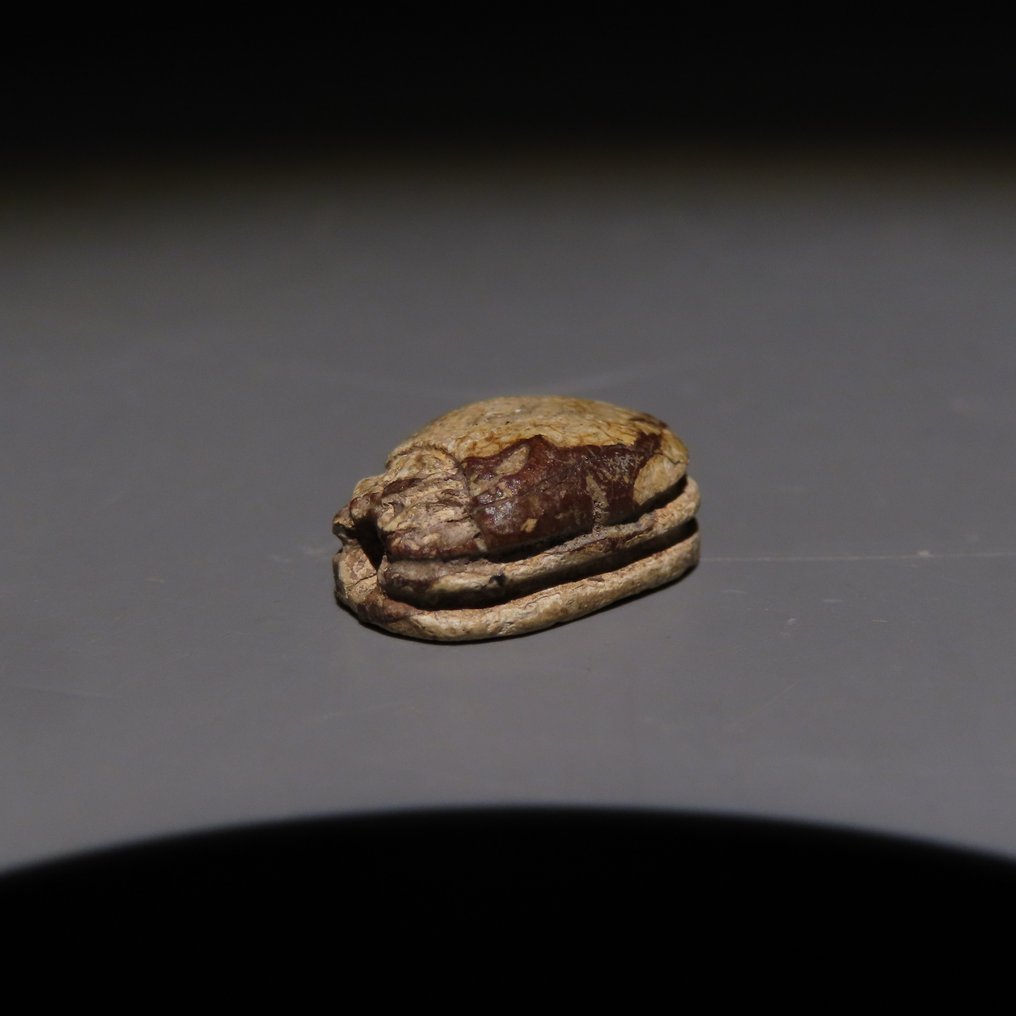 古埃及 滑石 甲虫。晚期，公元前664-332年。长度1.5厘米。 #3.2