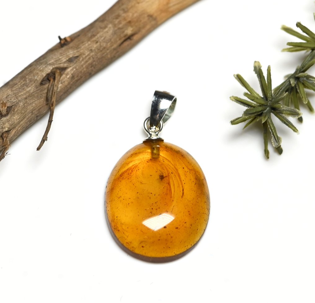 Sterling Silver Burmese Amber Pendant - with Fungus Gnat fossil insect inclusion - Fossil cabochon  (No reserve price) #3.2