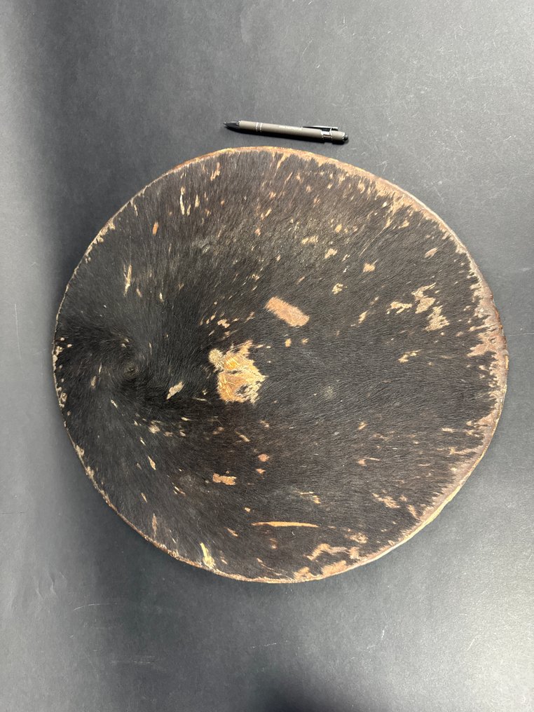 Schild (1) Sakalava - Madagaskar - 1920-1930 #2.1