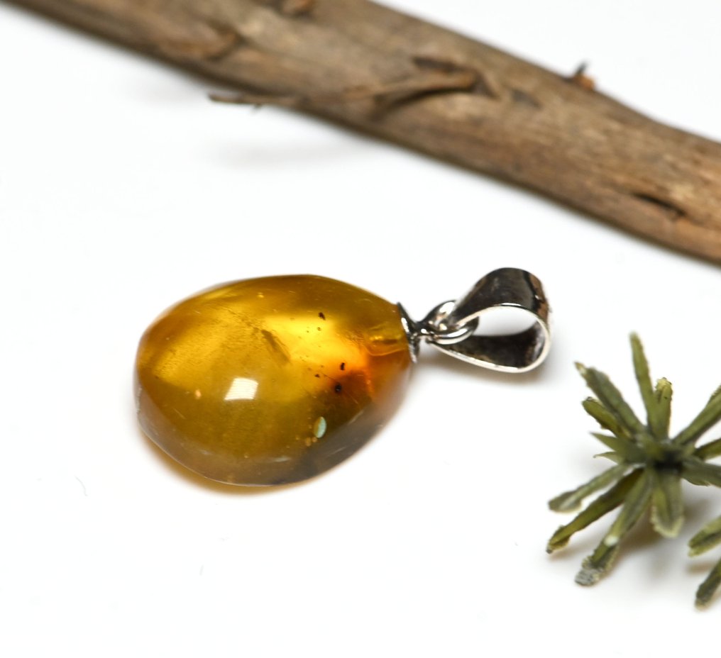 纯银多米尼加琥珀吊坠 - 内含菌蚊化石昆虫包裹物 - 光滑化石  (没有保留价) #2.1