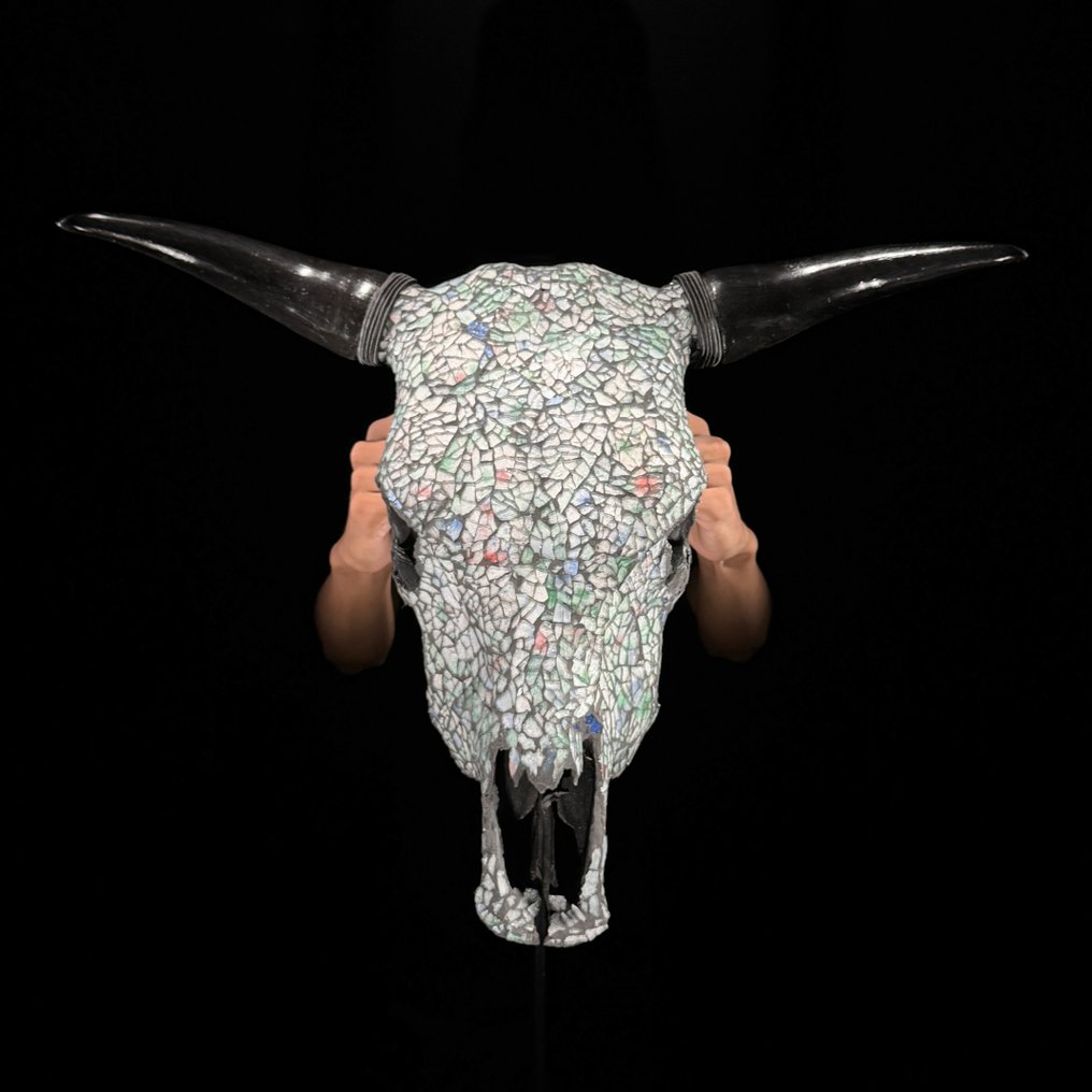 Χωρίς ελάχιστη τιμή - Εντυπωτικό μεγάλο κρανίο ταύρου με επένδυση ψηφιδωτού γυαλιού. Κρανίο - Bos Taurus - 45 cm - 60 cm - 16 cm- Είδη που δεν ανήκουν στο CITES -  (1) #2.1