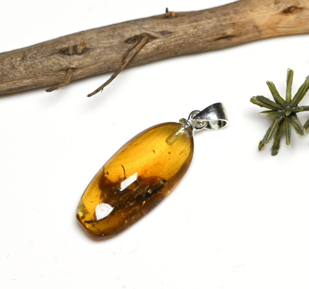 纯银缅甸琥珀吊坠 - 内含 Blattodea（蟑螂）化石昆虫包裹物 - 光滑化石  (没有保留价) #1.0