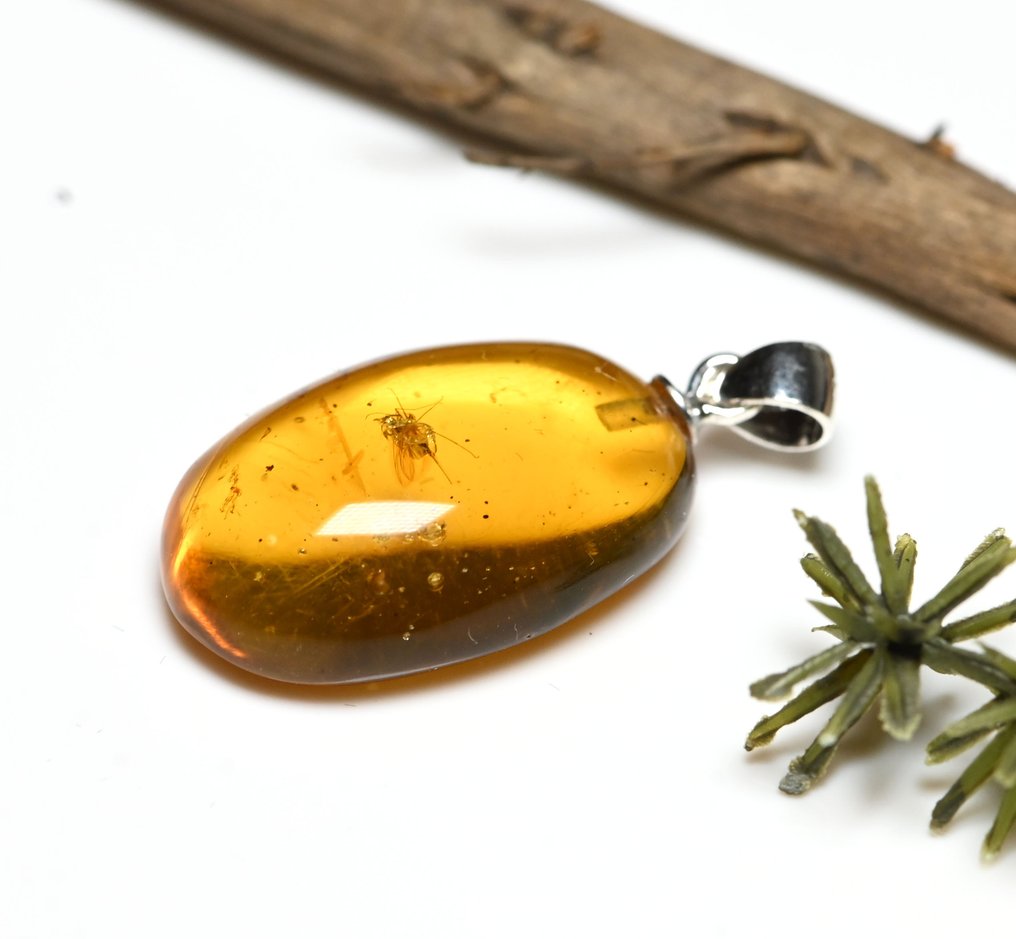 Pendente in argento sterling con ambra burmese, con inclusione di insetto fossile di mosca dei - Cabochon fossile  (Senza prezzo di riserva) #2.1