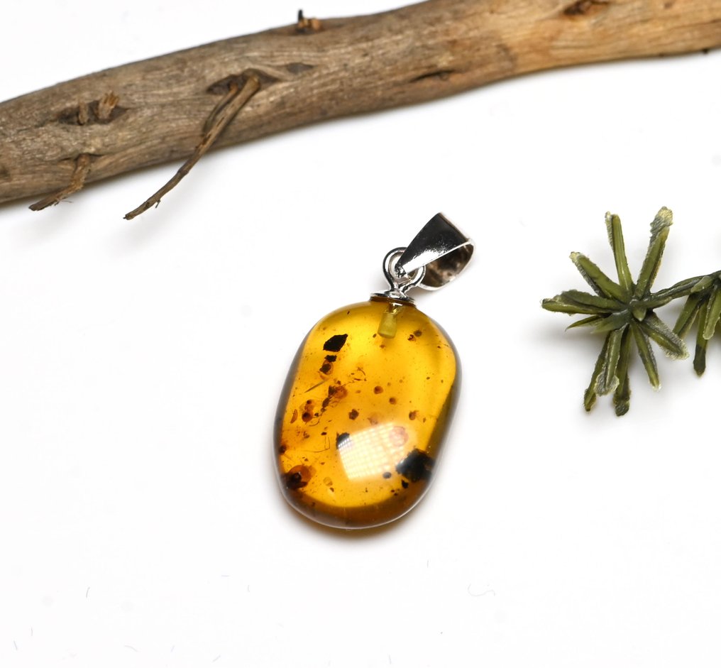 Sterling Silver Burmese Amber Pendant - with Hymenoptera (Wasp) and radial fungi, fossil insect - Fossil cabochon  (No Reserve Price) #1.0