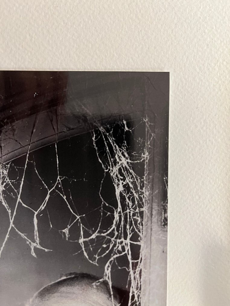 Robert Coburn - Alfred Hitchcock "The Birds" 1963 #4.3