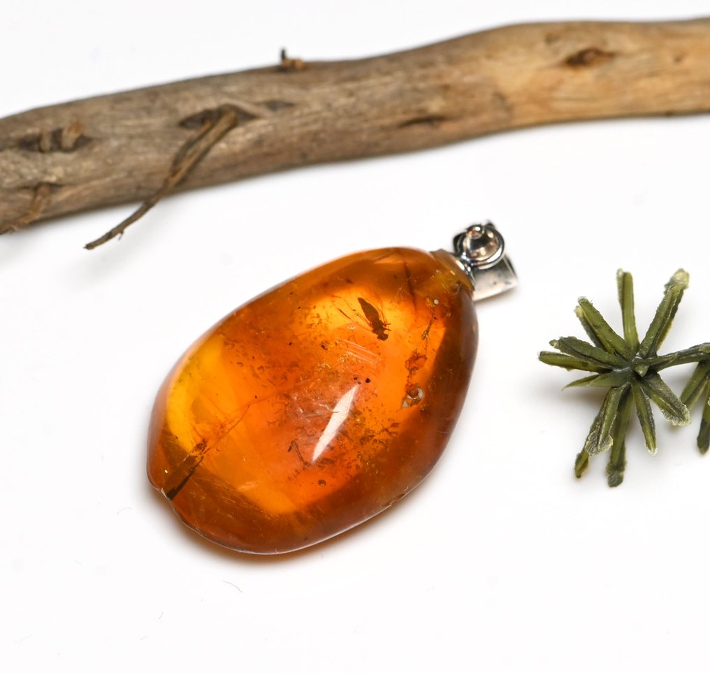 纯银多米尼加琥珀吊坠 - 内含书虱化石昆虫包裹 - 光滑化石  (没有保留价) #1.0