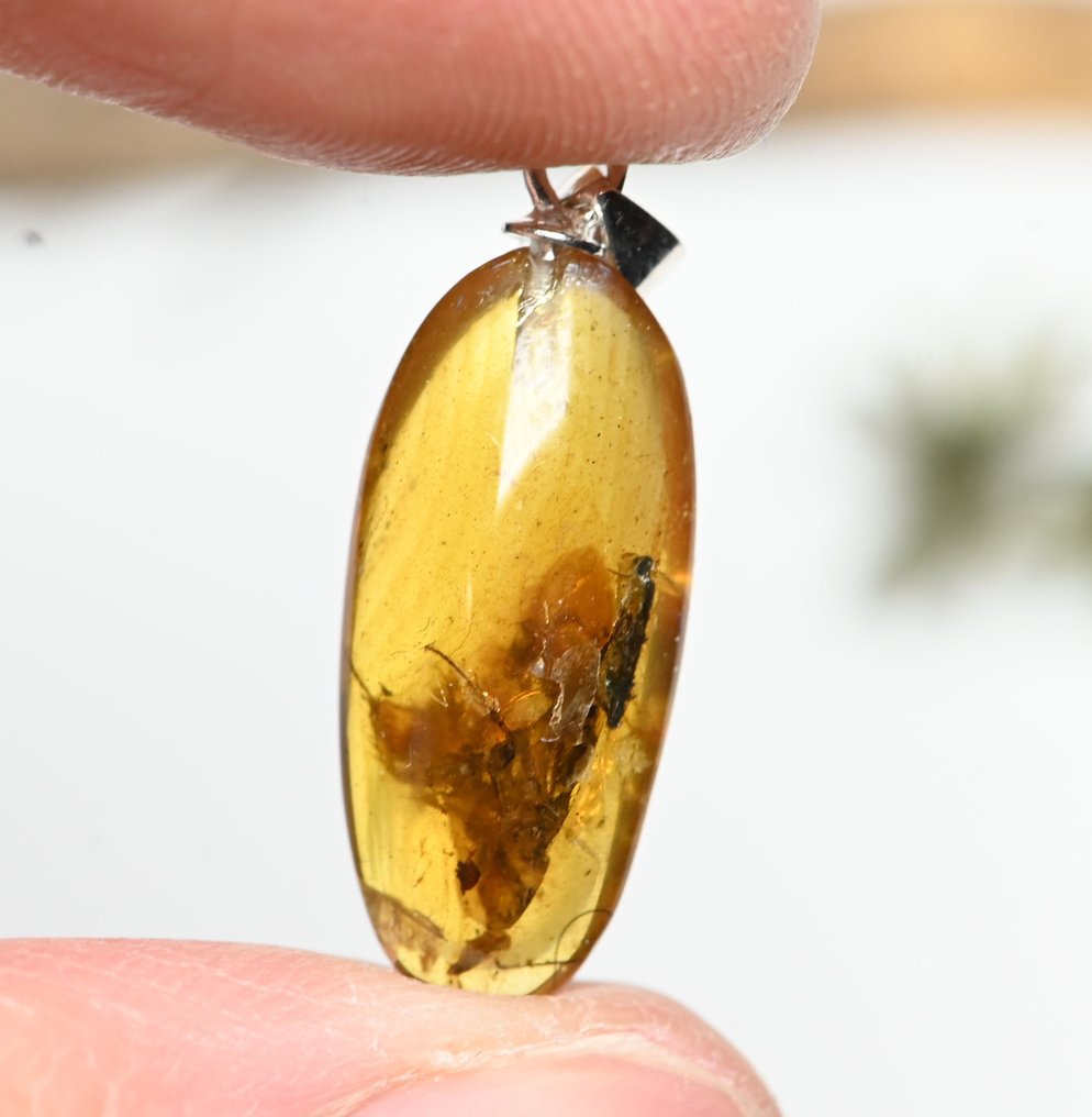 纯银缅甸琥珀吊坠 - 内含 Blattodea（蟑螂）化石昆虫包裹物 - 光滑化石  (没有保留价) #1.0