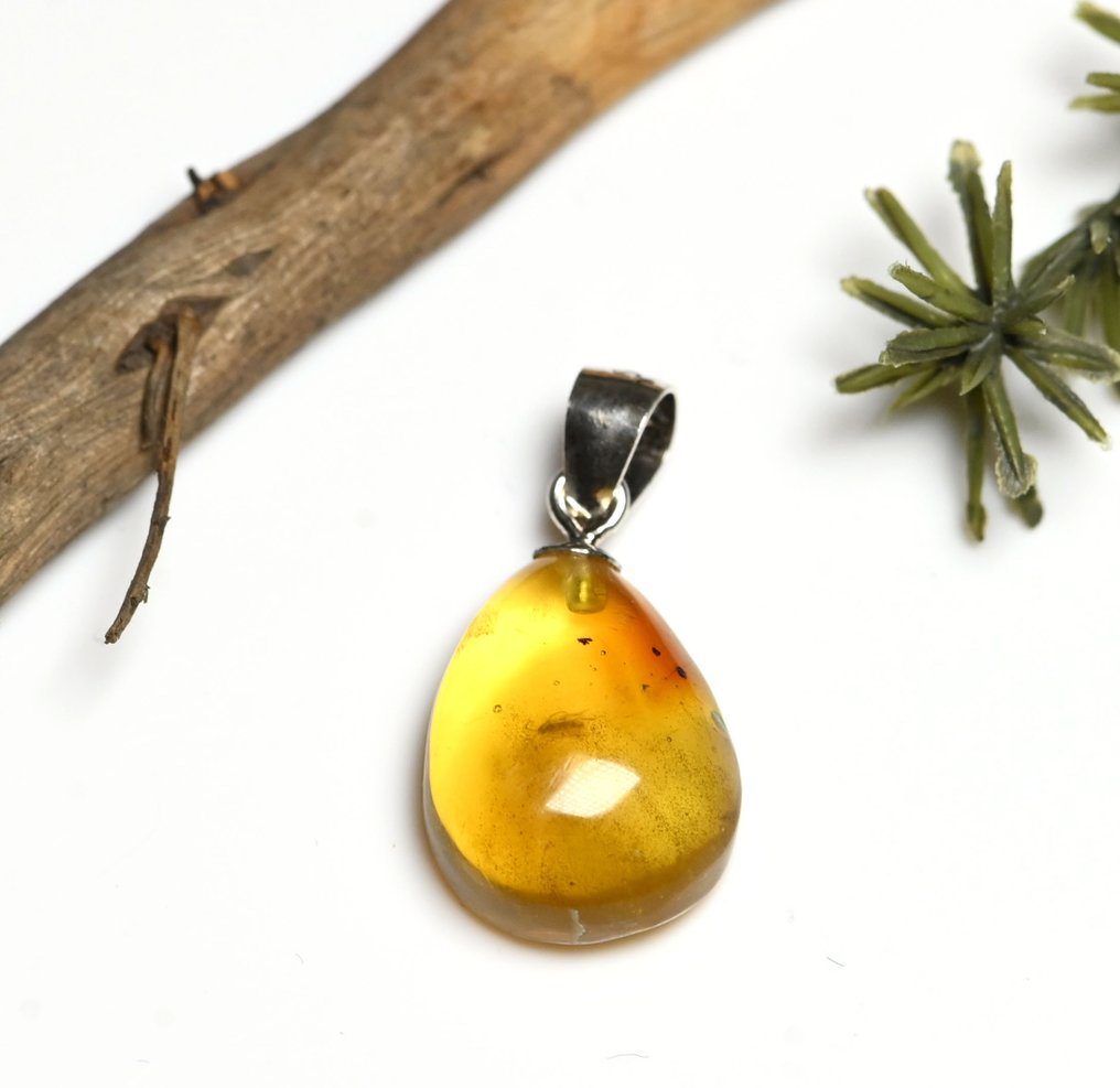 纯银多米尼加琥珀吊坠 - 内含菌蚊化石昆虫包裹物 - 光滑化石  (没有保留价) #3.2