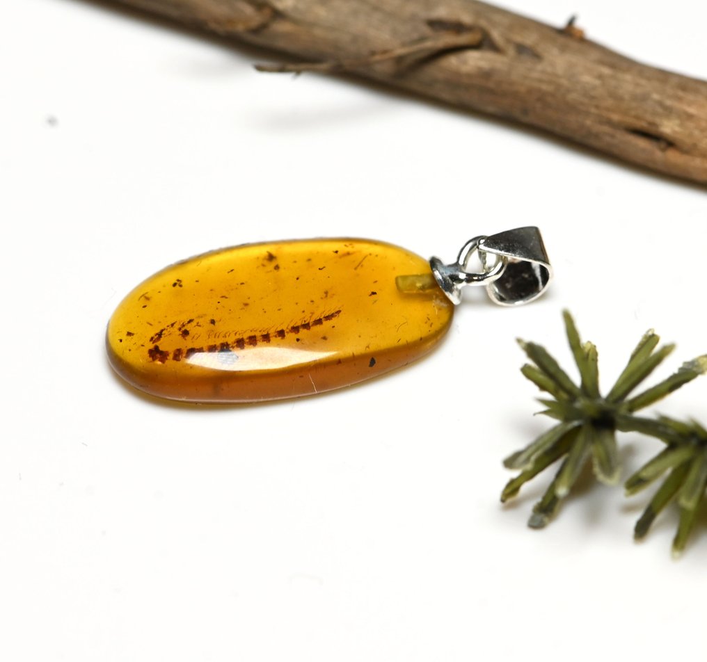 Pandantiv din argint sterling cu chihlimbar burmesc - cu inclusiune fosilă de insectă, scorpion. - Caboșon fosilă  (Fără preț de rezervă) #1.0