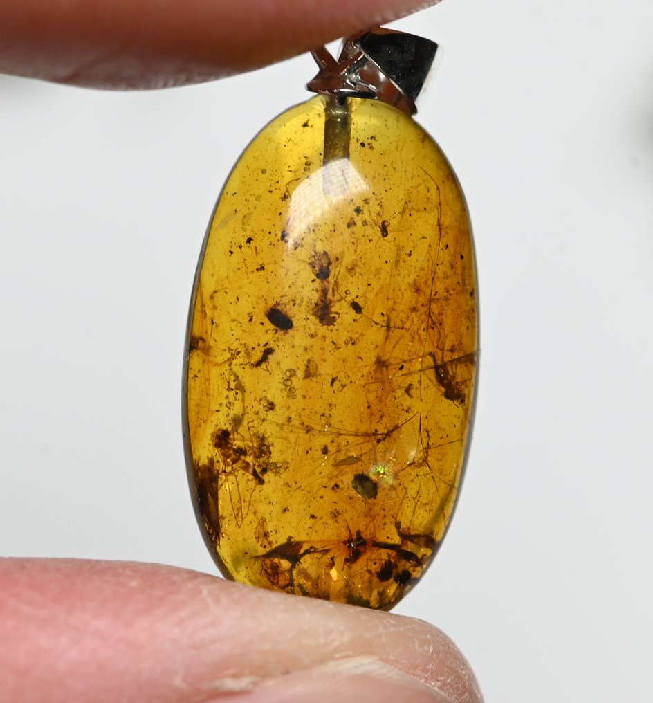 Pendentif en argent sterling et ambre burmese - avec une variété d'inclusions fossiles d'insectes et - Cabochon fossilisé (Sans prix de réserve) #3.2