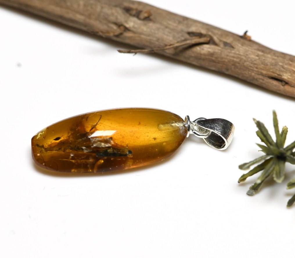 纯银缅甸琥珀吊坠 - 内含 Blattodea（蟑螂）化石昆虫包裹物 - 光滑化石  (没有保留价) #2.1