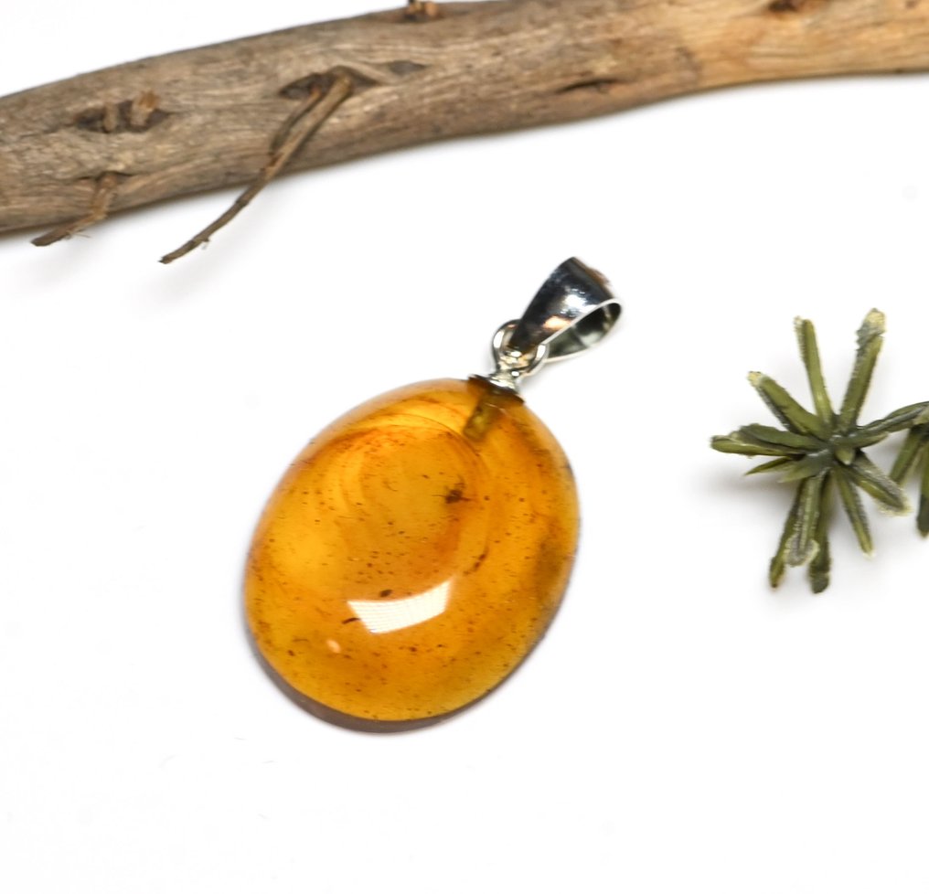 Sterling Silver Burmese Amber Pendant - with Fungus Gnat fossil insect inclusion - Fossil cabochon  (No reserve price) #1.0