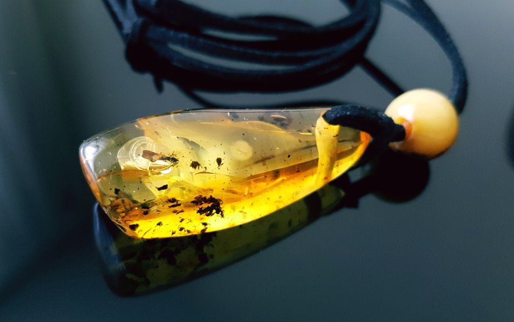 非常罕见的男女通用天然波罗的海琥珀吊坠项链，内含化石昆虫包裹 - 琥珀  (沒有保留價) #1.0