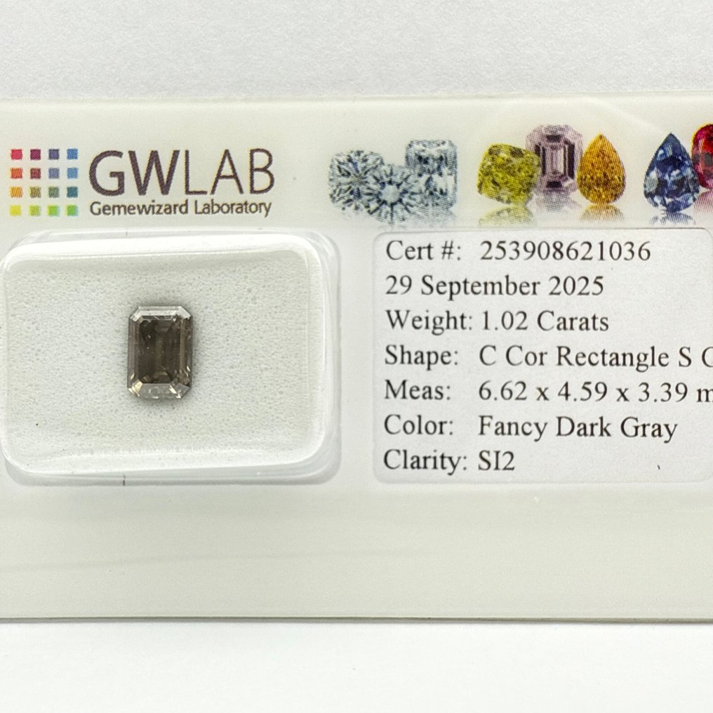 沒有保留價 - 1 pcs 鑽石  (天然彩色)  - 1.02 ct - 長方形 - Fancy dark 灰色 - SI2 - Gemewizard Gemological Laboratory (GWLab) #1.0
