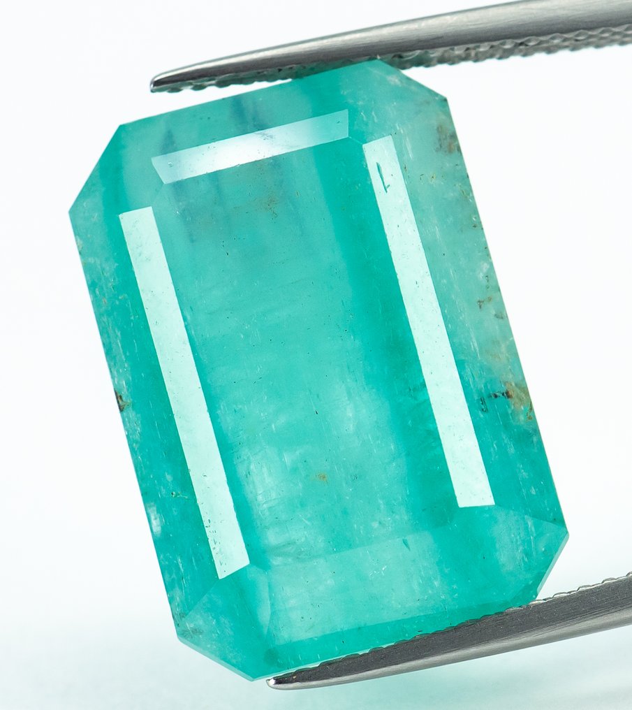 χωρίς τιμή ασφαλείας Σμαράγδι  - 20.32 ct - Bellerophon Gemlab - Πράσινο (Μικρό λάδι) #1.0