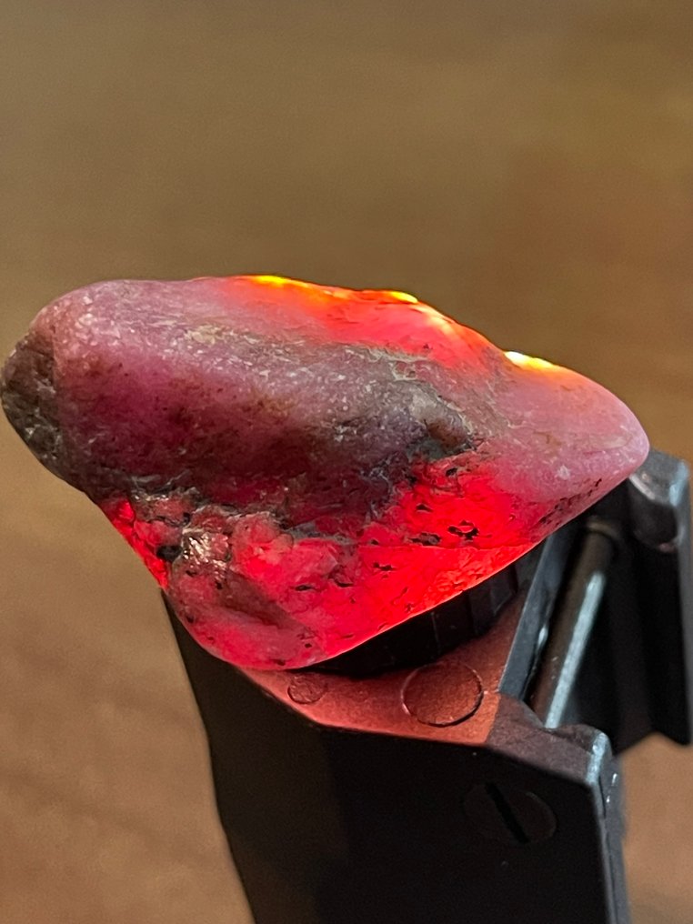 Ruby 令人惊叹的132克拉莫桑比克巨型血红宝石。宏伟的水晶。天然，100%特别精选。 - 高度: 39 mm - 闊度: 20 mm- 26.4 g #1.0
